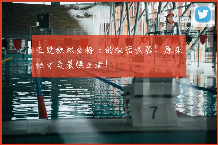 王楚钦积分榜上的秘密武器！原来他才是最强王者！