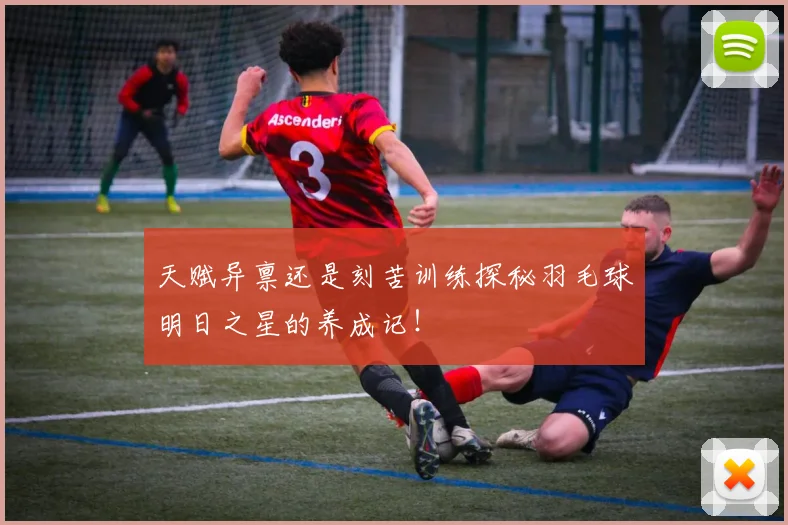 天赋异禀还是刻苦训练探秘羽毛球明日之星的养成记！