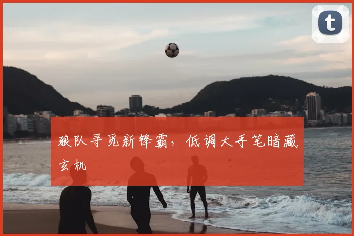 狼队寻觅新锋霸，低调大手笔暗藏玄机