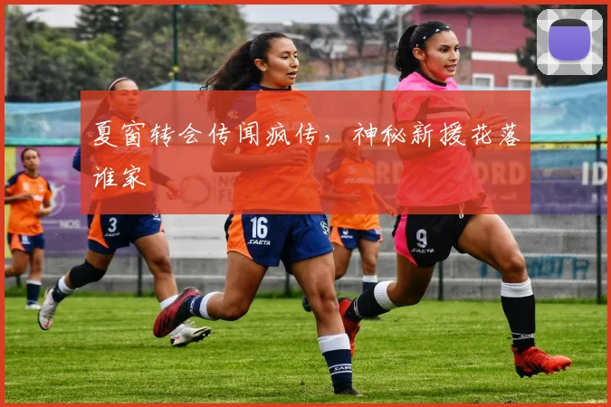 夏窗转会传闻疯传，神秘新援花落谁家