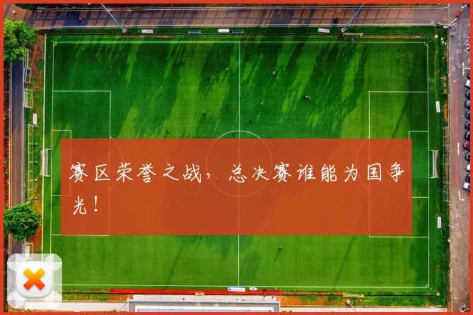 赛区荣誉之战，总决赛谁能为国争光！