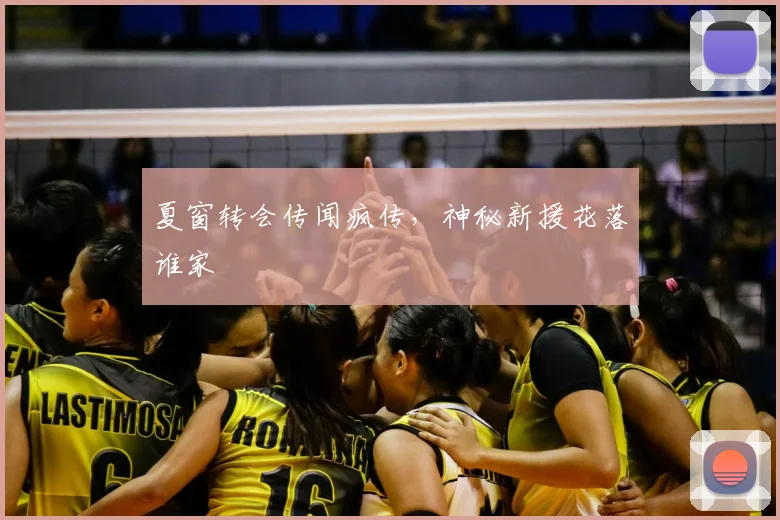 夏窗转会传闻疯传，神秘新援花落谁家
