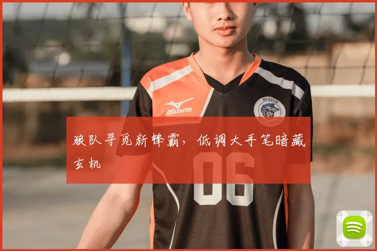 狼队寻觅新锋霸，低调大手笔暗藏玄机