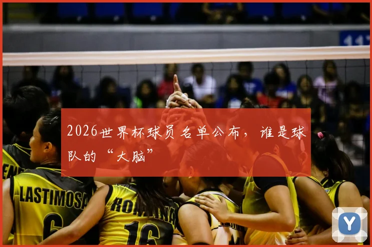 2026世界杯球员名单公布，谁是球队的“大脑”